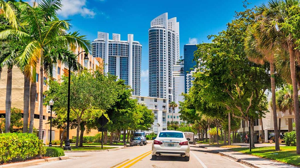 Detailing Vice — Sunny Isles Beach, FL